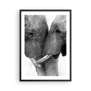 Poster in een zwarte lijst - Close-up van twee olifanten in zwart-wit - 50x70cm - Oprechte bekentenis - Moderne wanddecoratie voor woonkamer en slaapkamer ARTTOR