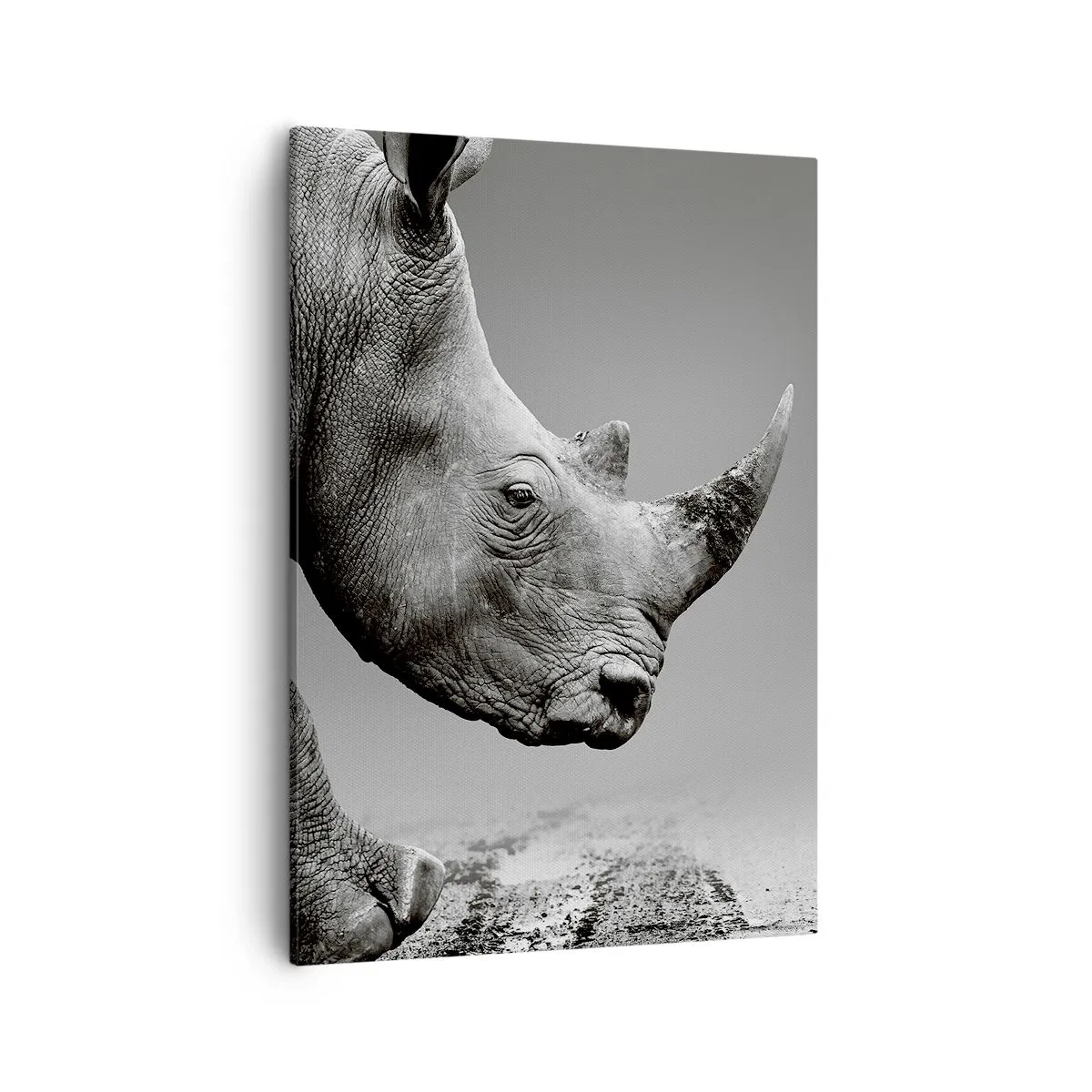 Schilderen op canvas - Onstuitbare kracht - 50x70 cm