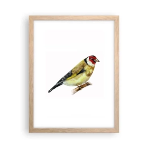 Een poster in een licht eiken lijst - Vogel portret - 30x40 cm