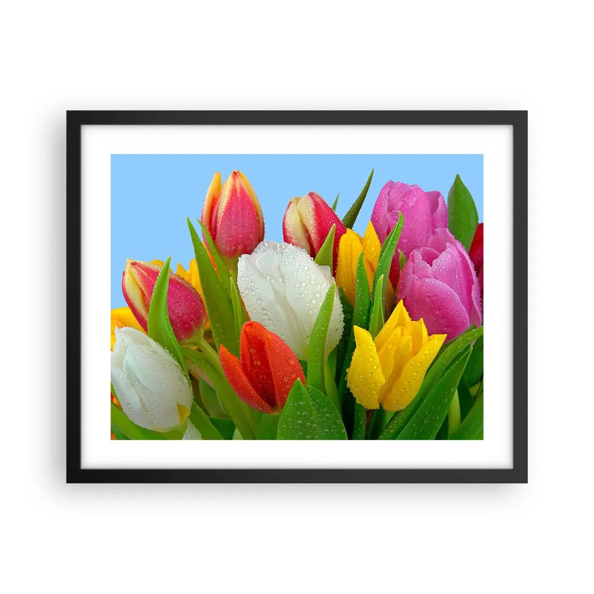 Poster in een zwarte lijst - Een bloemenregenboog in dauwdruppels - 50x40 cm