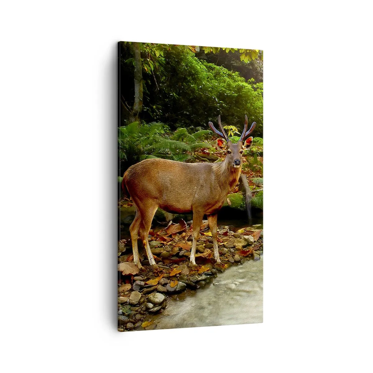 Schilderen op canvas - Welkom in mijn wereld - 45x80 cm