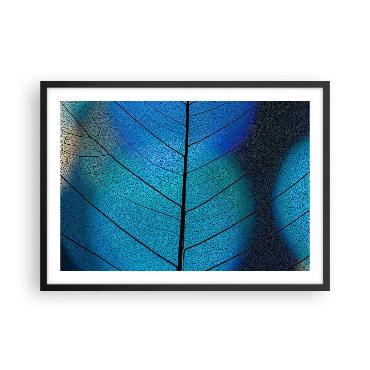 Poster in een zwarte lijst - Ingewikkelde constructie - 70x50 cm