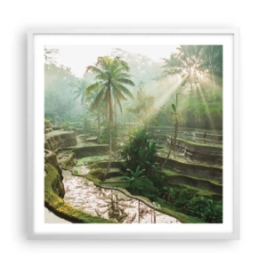 Poster in een witte lijst - Opgroeien in de zon - 60x60 cm