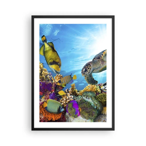 Poster in een zwarte lijst - Kleurrijk zeeleven met vissen en schildpadden in tropische wateren - 50x70cm - Koraalpromenade - Moderne wanddecoratie voor woonkamer en slaapkamer ARTTOR