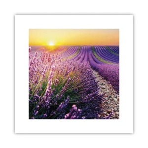 Poster - Geurige korenvelden - 30x30 cm