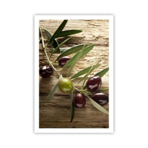 Poster - Rechtstreeks uit de natuur - 61x91 cm