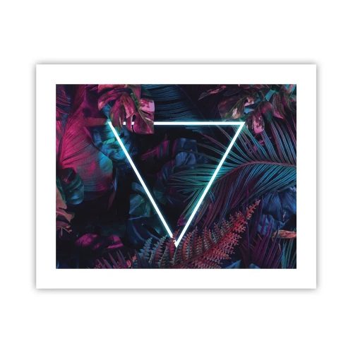 Poster - Disco-achtige tuin - 50x40 cm