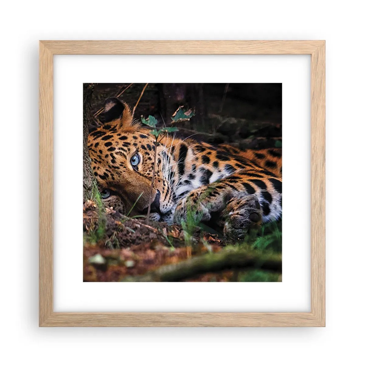 Een poster in een licht eiken lijst - Geloof me - 30x30 cm