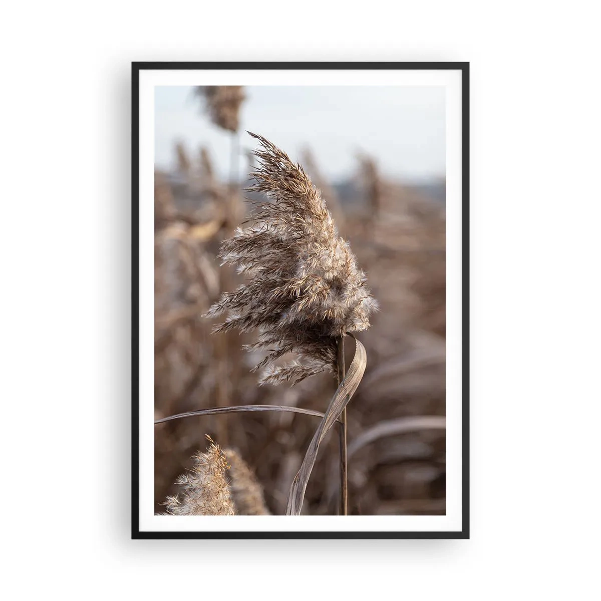 Poster in een zwarte lijst - Tijd om met de wind mee te gaan - 70x100 cm