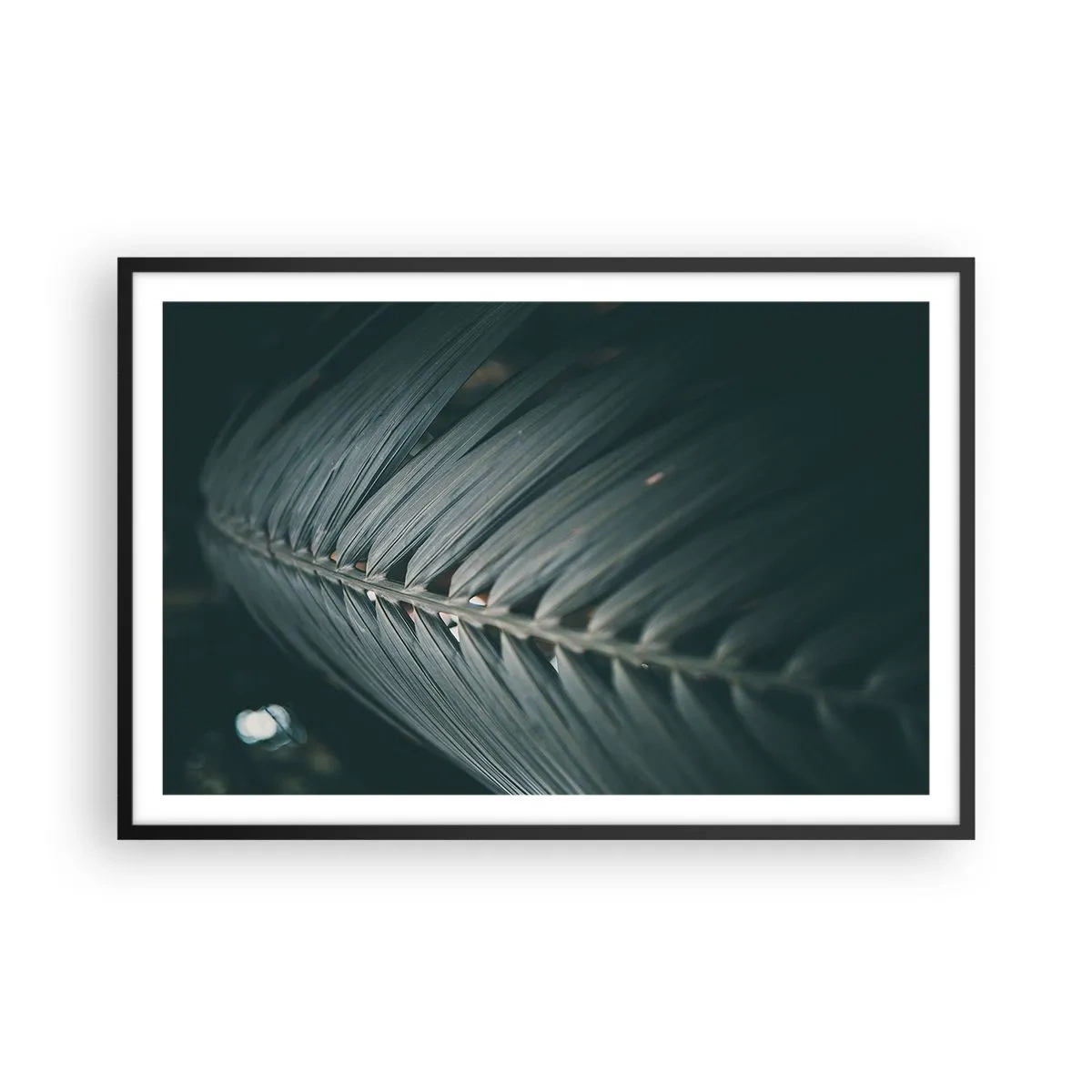 Poster in een zwarte lijst - De precisie van de natuur - 91x61 cm