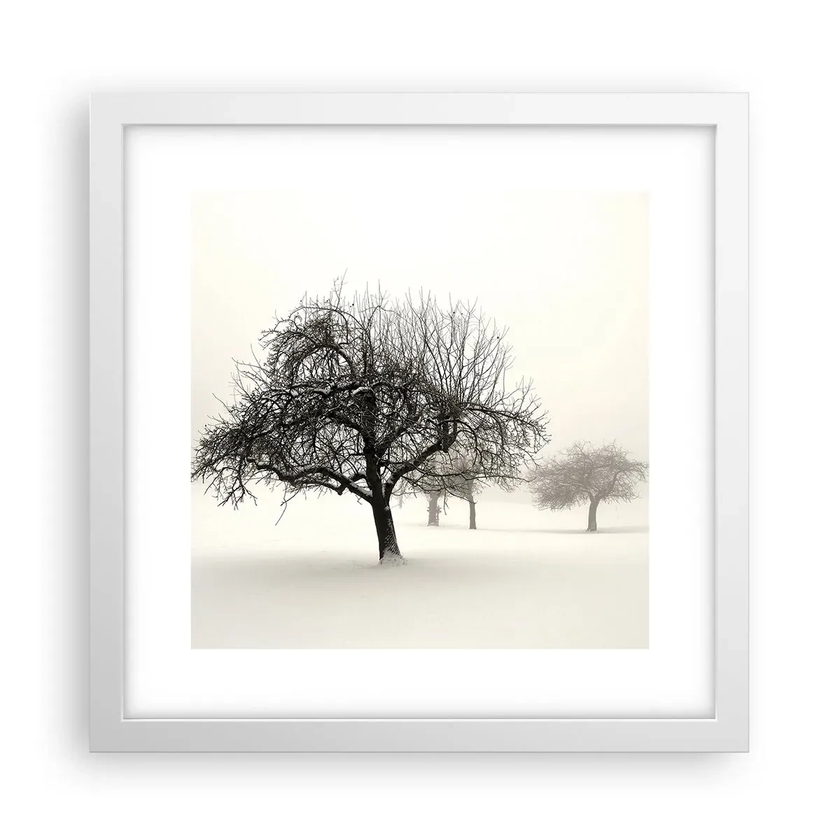 Poster in een witte lijst - Winterslaap - 30x30 cm