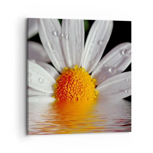 Schilderen op canvas - De rijzende zon van madeliefjes - 70x70 cm