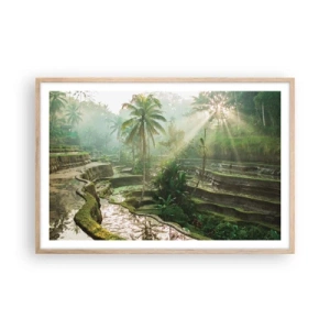 Een poster in een licht eiken lijst - Opgroeien in de zon - 91x61 cm