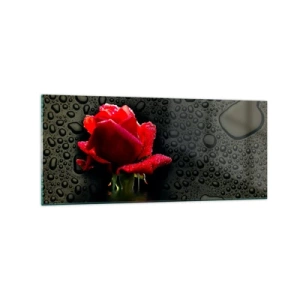 Schilderen op glas - Rood en zwart - 120x50 cm