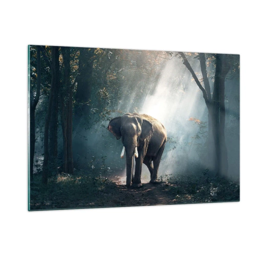 Schilderen op glas - Een ontspannen wandeling - 120x80 cm
