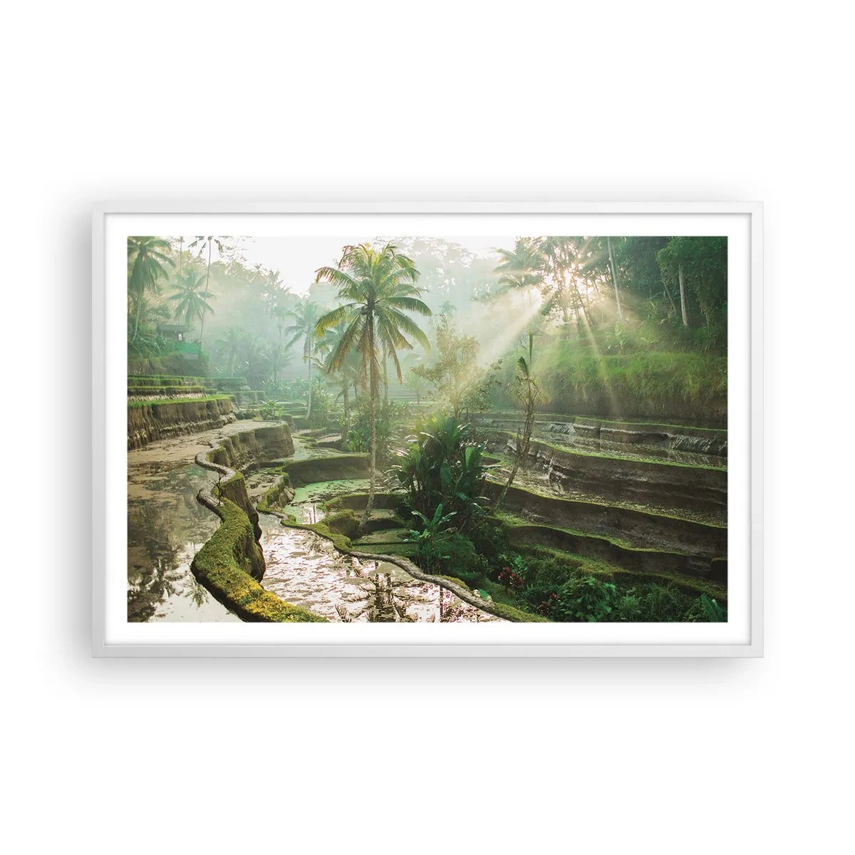 Poster in een witte lijst - Opgroeien in de zon - 91x61 cm