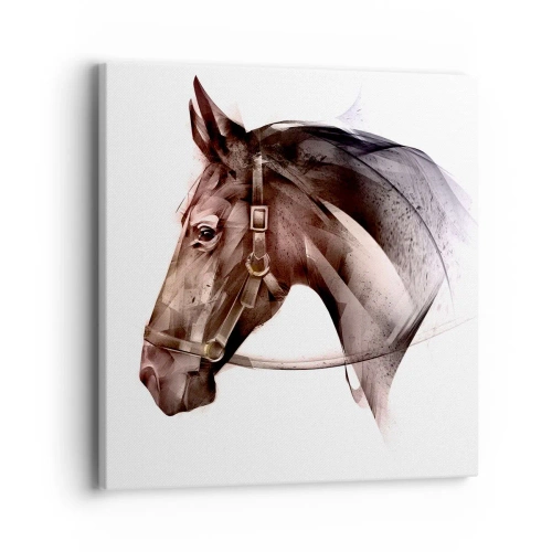 Schilderen op canvas - Wat een charme - 40x40 cm