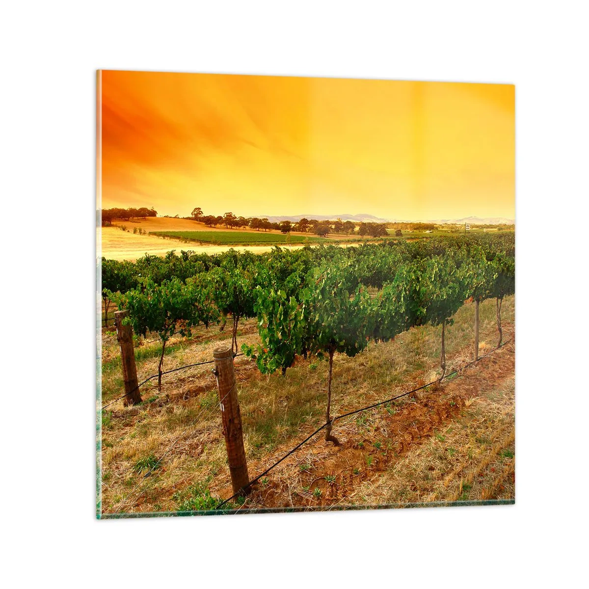 Schilderen op glas - Neem een drankje van de zon - 60x60 cm