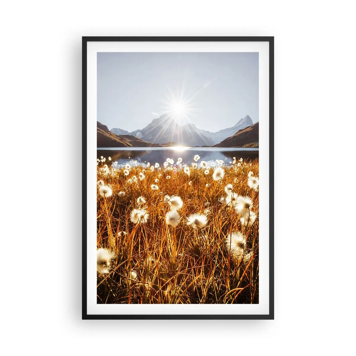 Poster in een zwarte lijst - Steenhardheid, graszachtheid - 61x91 cm