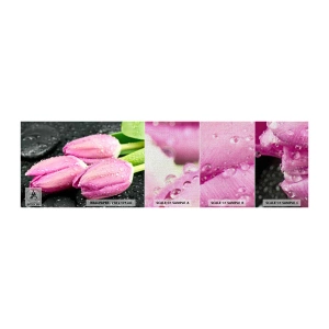 Fotobehang Monster Premium Canvas - Lila drie op een zwarte steen - Bloemen, Tulpen, Boeket bloemen - 100x30 cm