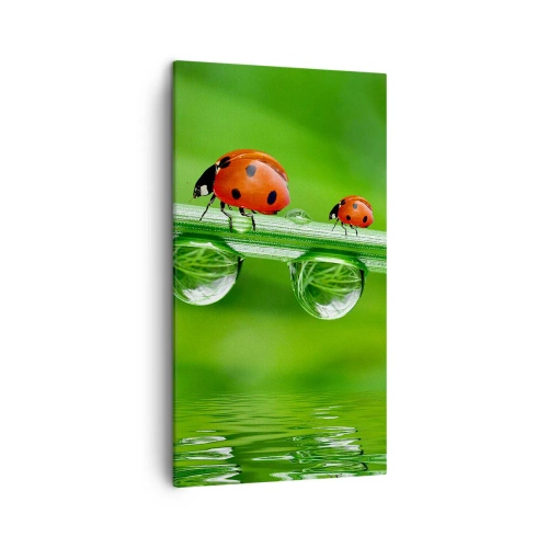Schilderen op canvas - De hele zomer onderweg - 45x80 cm