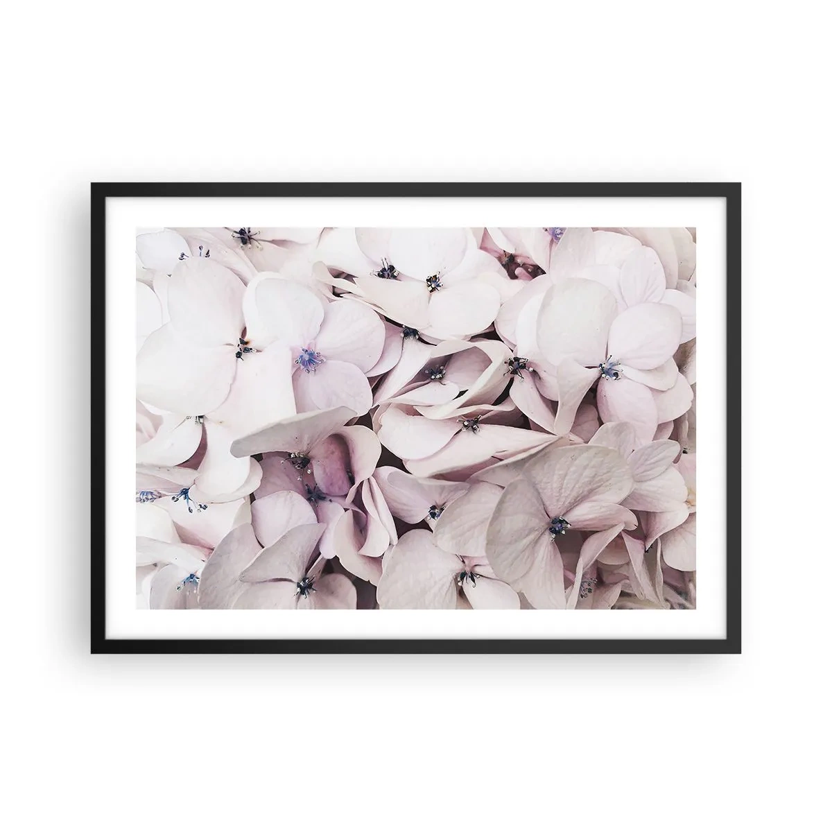 Poster in een zwarte lijst - In een vloed van bloemen - 70x50 cm
