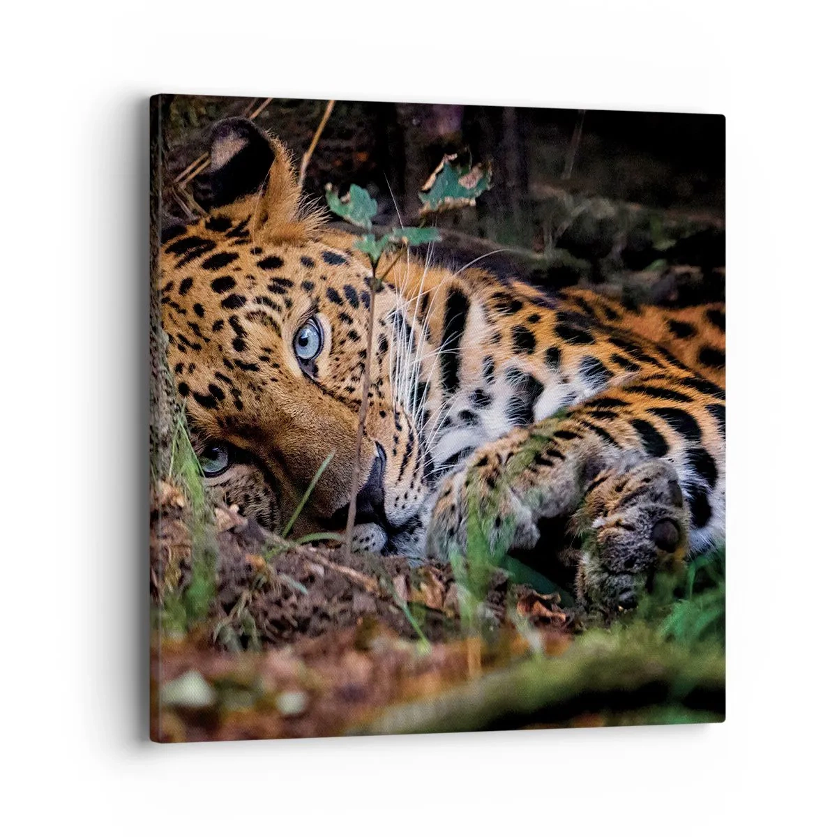 Schilderen op canvas - Geloof me - 40x40 cm