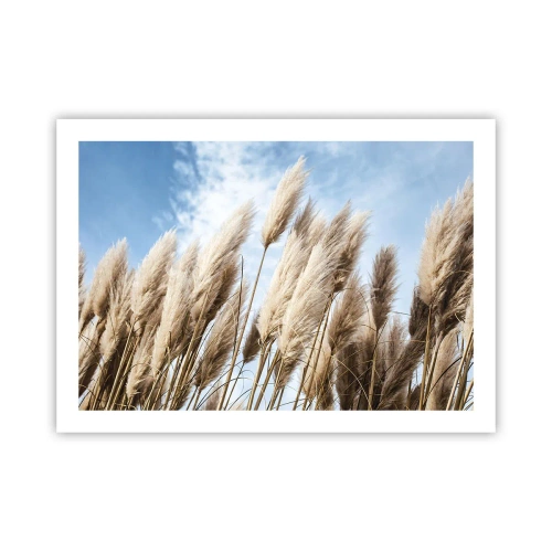 Poster - Zonnige en winderige streling - 70x50 cm