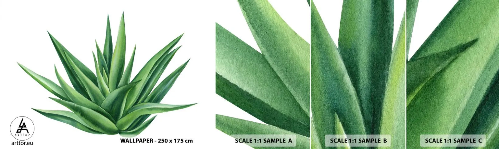 Fotobehang Monster Zelfklevend Deluxe Sticker - Groen – kracht – leven - Plant, Aloë, Plantkunde - 100x30 cm