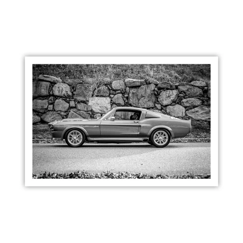 Poster - De legende van de jaren 60 - 91x61 cm