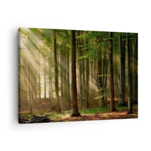 Schilderen op canvas - Zonnestralen die door de bomen in het bos heen dringen - 70x50cm - Stralend op een lentemorgen - Moderne wanddecoratie voor woonkamer en slaapkamer ARTTOR
