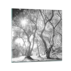 Schilderen op glas - In de olijfboomgaard - 40x40 cm
