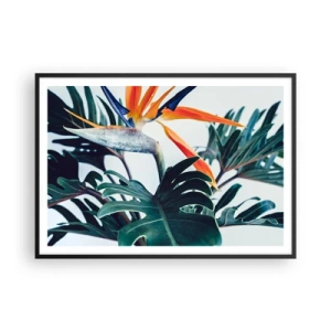 Poster in een zwarte lijst - Vogelstruik - 100x70 cm