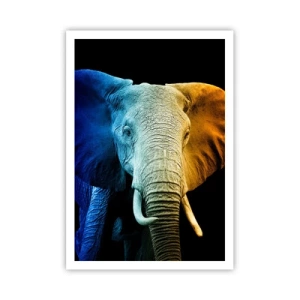 Poster - Excentriek, niet raar - 70x100 cm