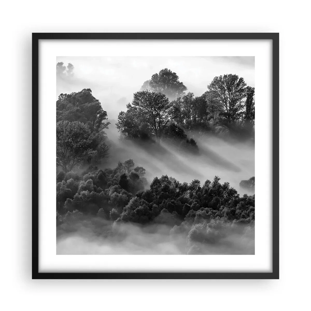 Poster in een zwarte lijst - Opstaand uit de slaap - 50x50 cm