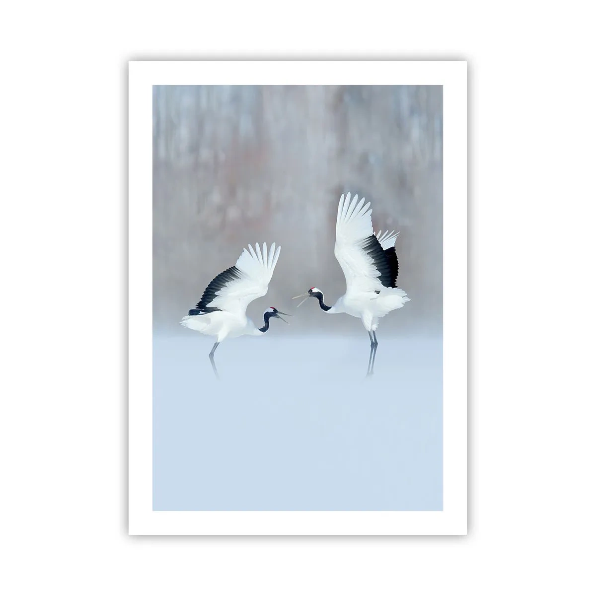 Poster - Dans in de mist - 50x70 cm