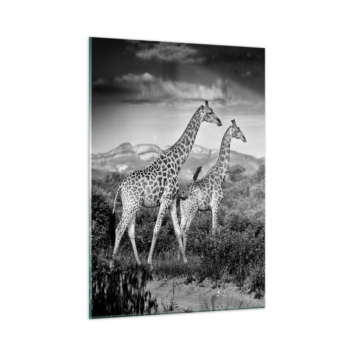 Schilderen op glas - Hoge sferen in Afrika - 50x70 cm