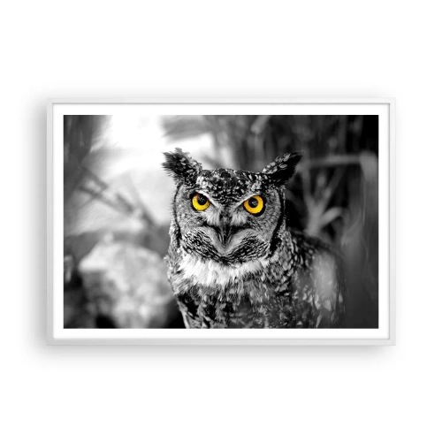 Poster in een witte lijst - Niets zal zich verbergen - 100x70 cm