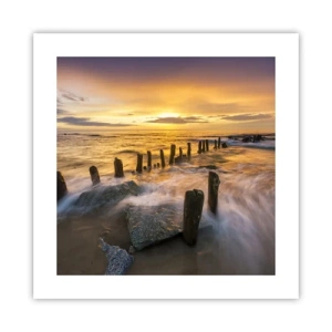 Poster - De rauwe schoonheid van de Oostzee - 40x40 cm