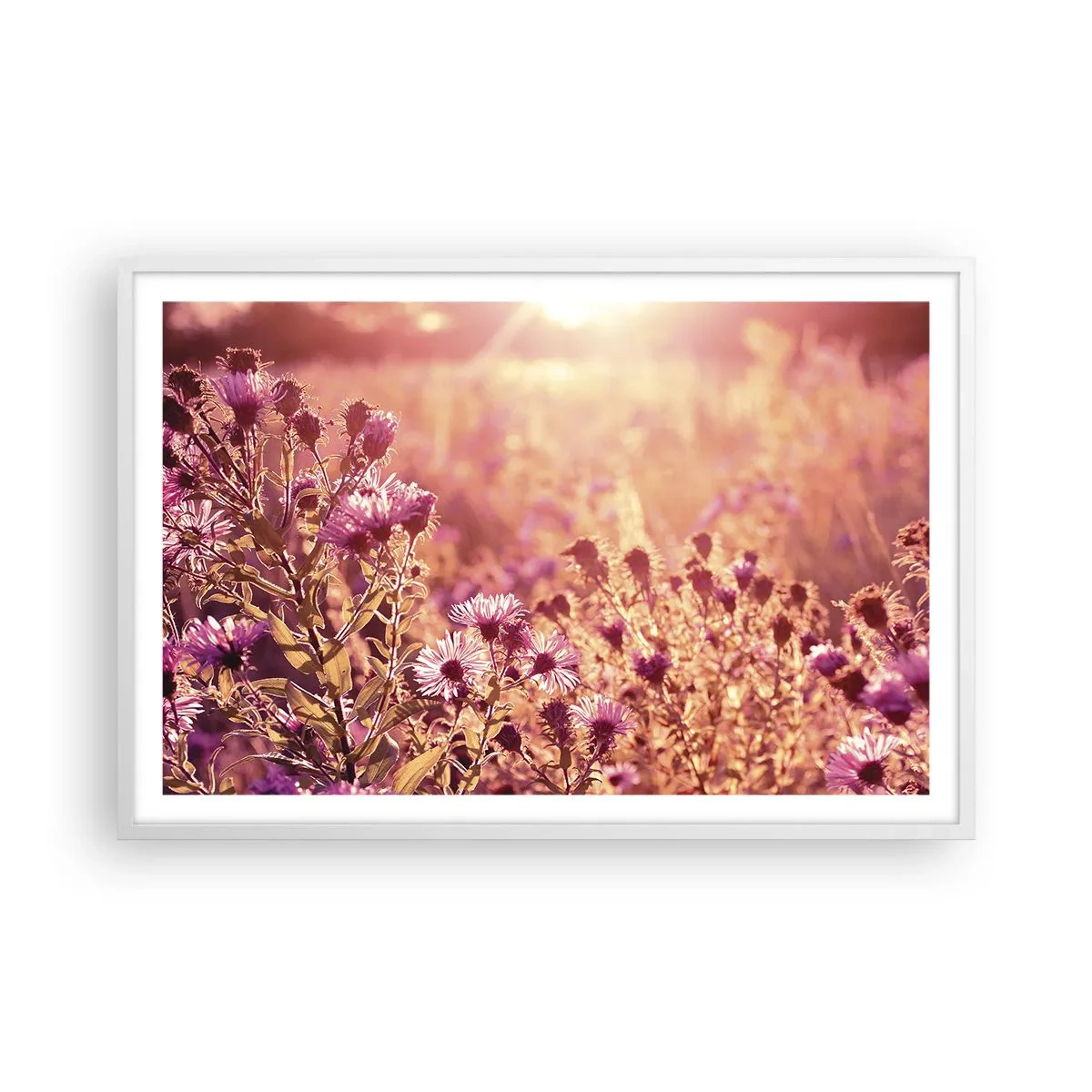 Poster in een witte lijst - Voordat de zomer voorbij is - 91x61 cm