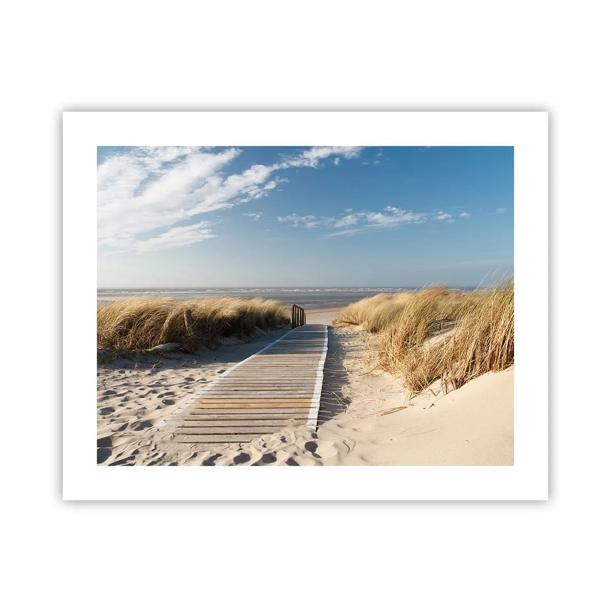 Poster - Achter het duin, in het ruisen van gras - 50x40 cm