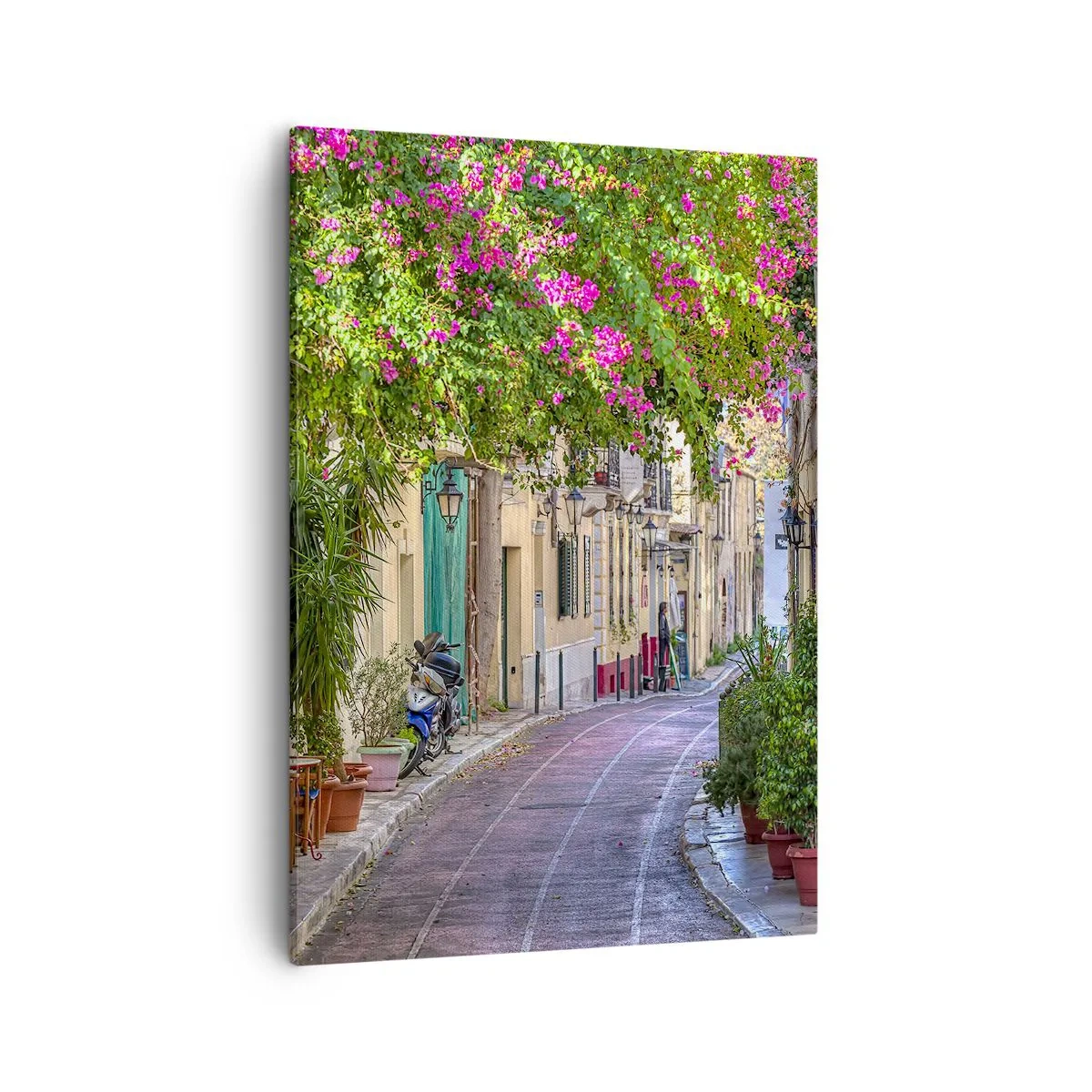 Schilderen op canvas - Bloeiende steeg - 50x70 cm