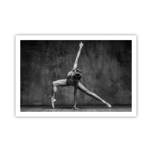 Poster - Het ideaal van balans - 91x61 cm