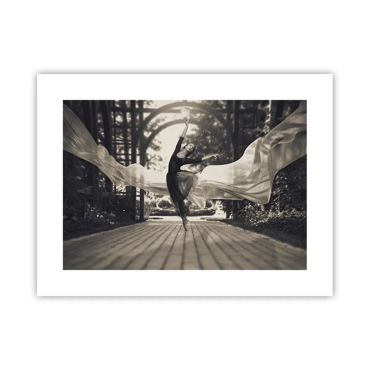 Poster - De dans van de tuingeest - 40x30 cm