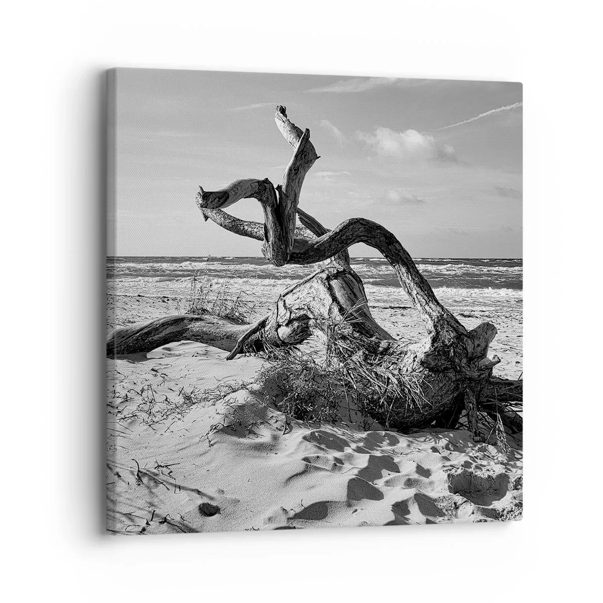 Schilderen op canvas - Zee sculptuur - 30x30 cm