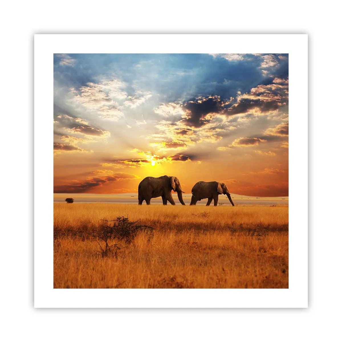 Poster - Familie wandeling - 50x50 cm