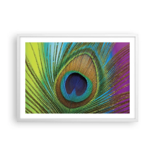 Poster in een witte lijst - Oog in oog - 70x50 cm
