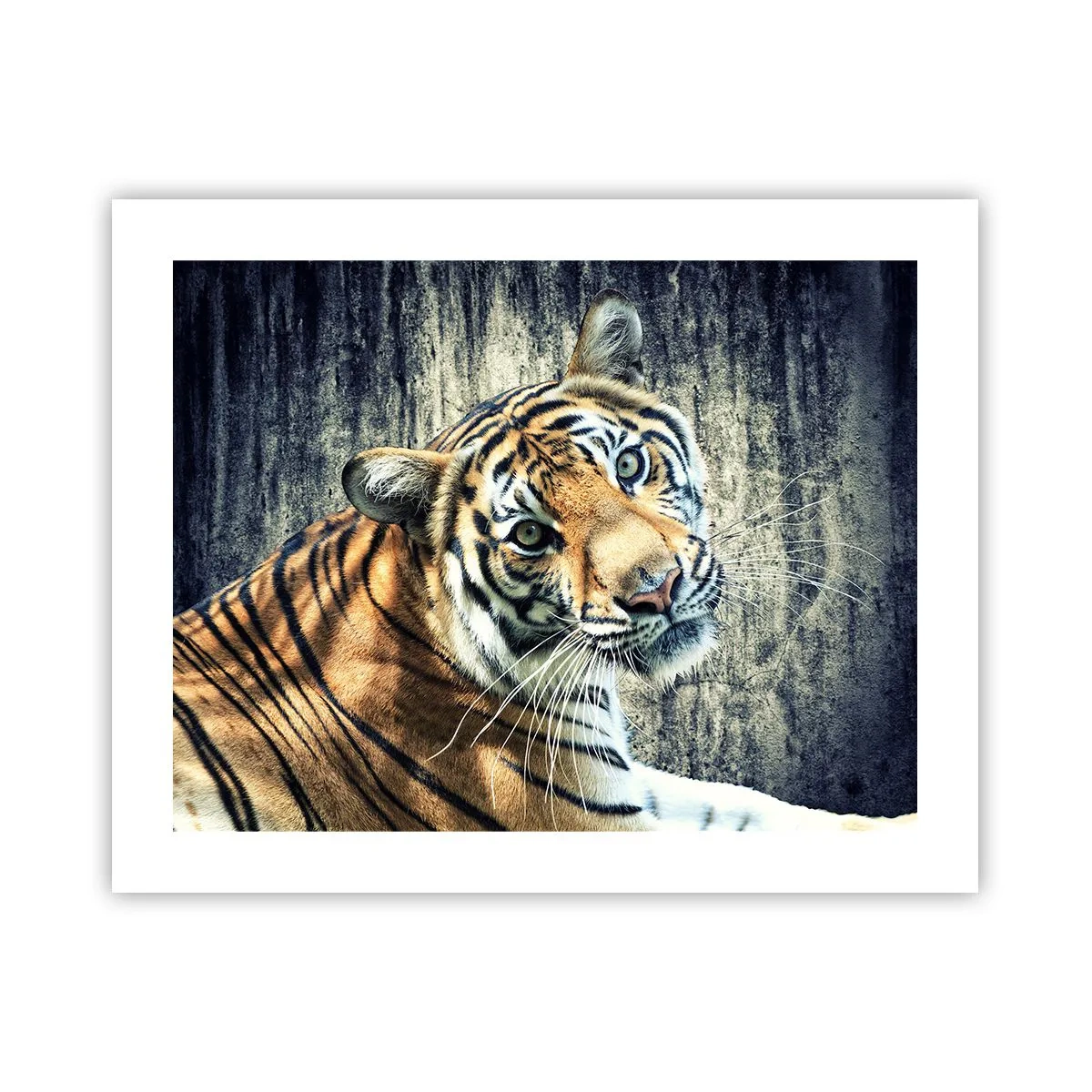 Poster - Portret in stromen van licht - 50x40 cm