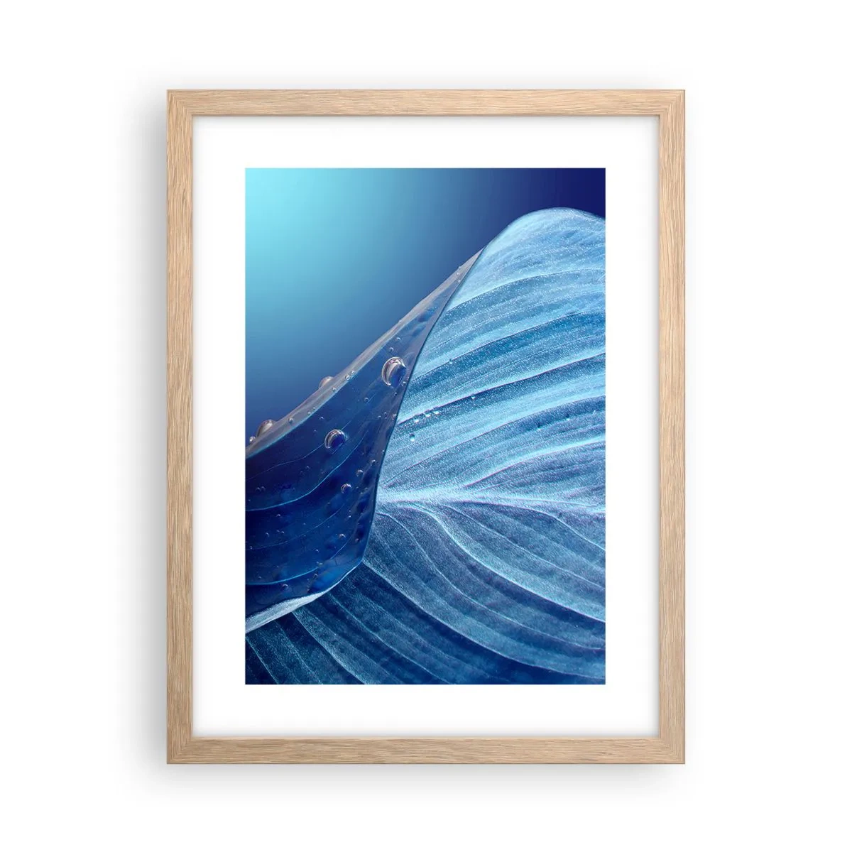 Een poster in een licht eiken lijst - Verborgen druppels blauw - 30x40 cm