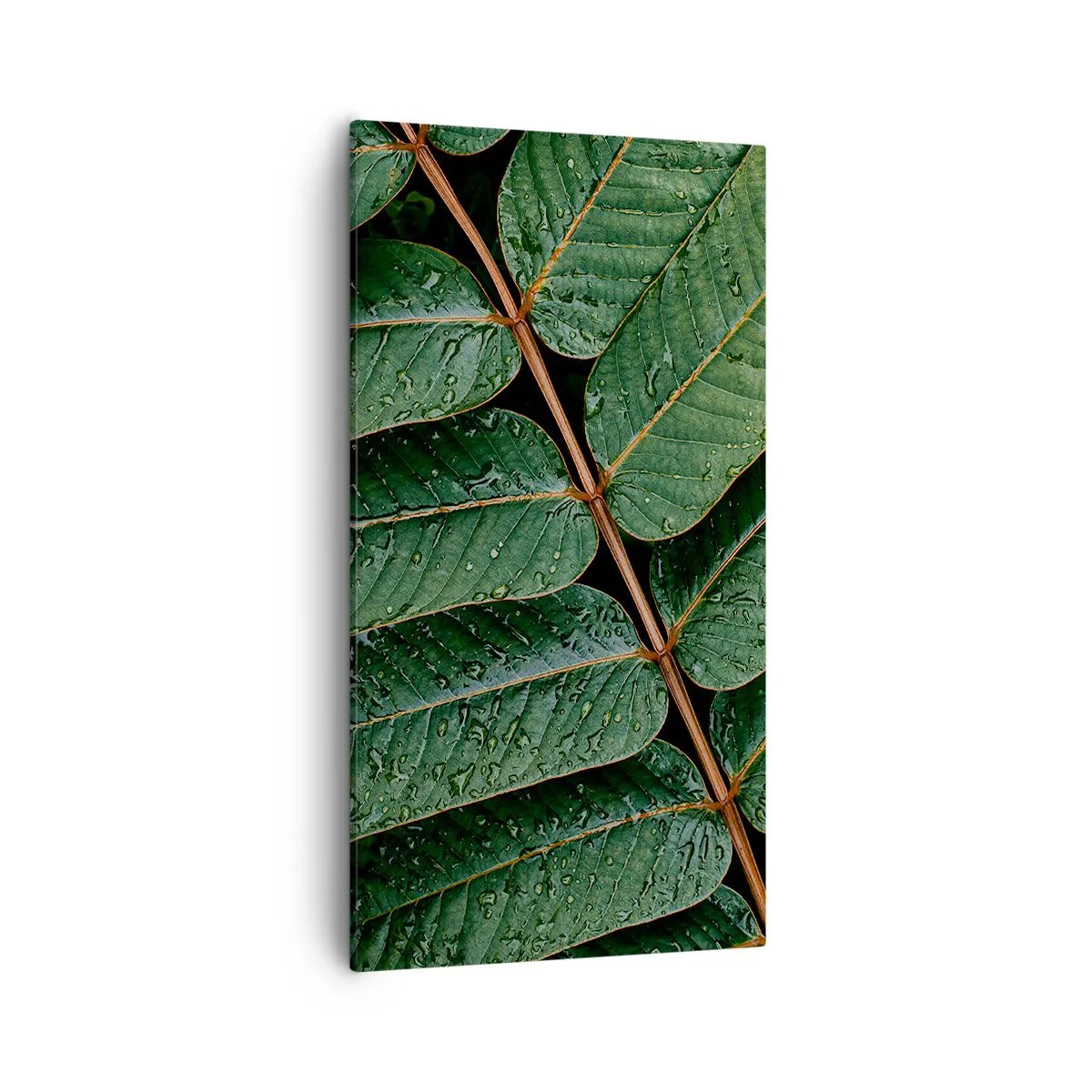 Schilderen op canvas - In een groen ritme - 55x100 cm